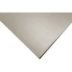 KASKAD Декоративен картон KASKAD 50x70 cm 2 страници 220 g сребро 60 991360 (991360)