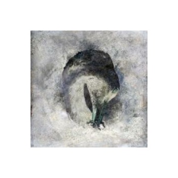 Suma - Ashes. CD