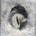 Suma - Ashes. CD