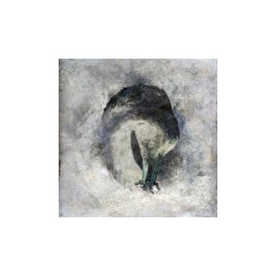 Suma - Ashes. CD