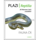 Plazi