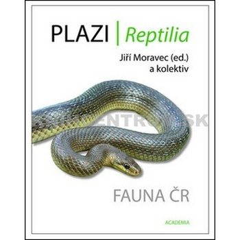 Plazi