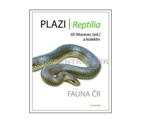 Plazi