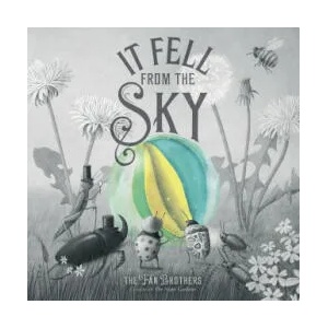 It Fell From The Sky | Terry Fan (ISBN: 9780711270664)