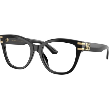 Dolce&Gabbana DG3418 501