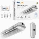 Brilum B3547