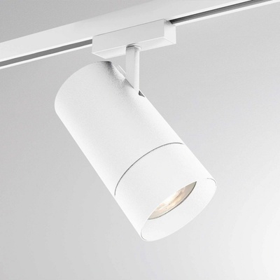 Molto Luce 495-420000000550