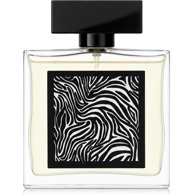 Fragrance World Encrypt parfémovaná voda pánská 85 ml