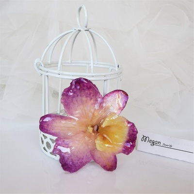 Meganflo Брошка лилаво бяла триизмерна орхидея