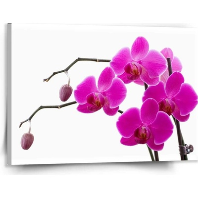 Sablio Obraz Fialové orchideje - 150x110 cm
