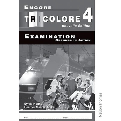 Encore Tricolore Nouvelle 4 Grammar in Action Workbook Pack (X8) (Honnor S.)(Paperback)