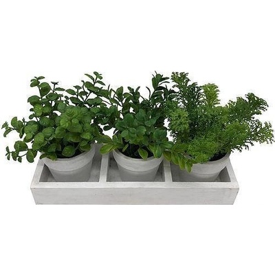 SLOVAKIA TREND Mix bylín sukulent MagicHome 18 cm kvetináč - papier 3 ks