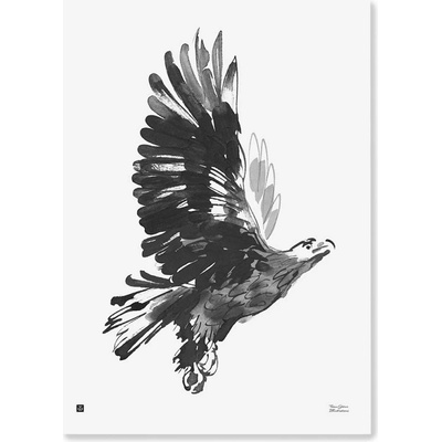 Plagát Eagle 50x70