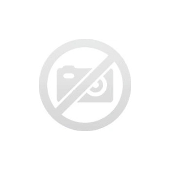 Zyxel USGFLEX50H-EU0102F