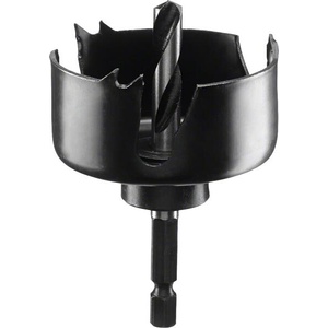 Bosch 54 mm 2609256D05
