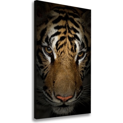 Vertikálny moderný fotoobraz canvas na ráme Tiger 50x100 cm