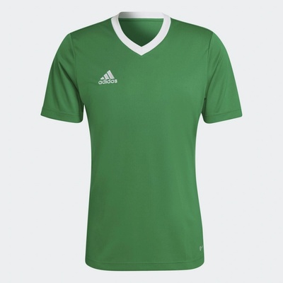adidas Entrada dětský 22 zelený