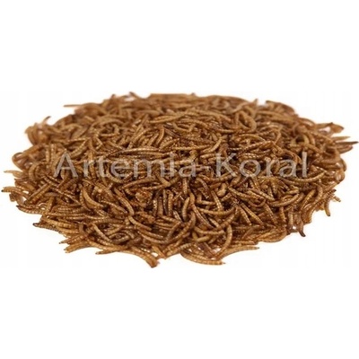 UGF sušený moučný červ 1 kg