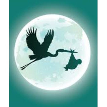 Image 1 of Дар 25/35 см