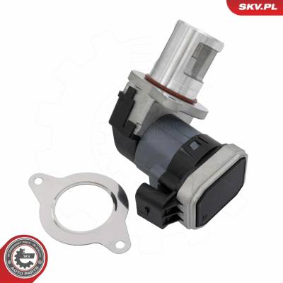 AGR - Ventil ESEN SKV 14SKV309