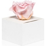 RoseAmor Pink стабилизирана роза в кутия