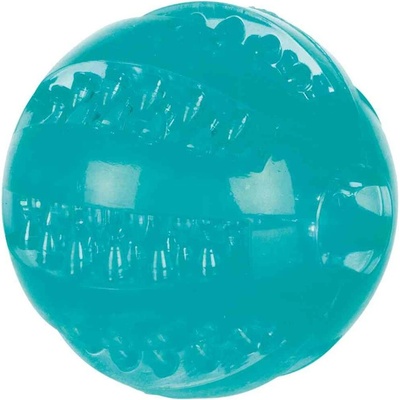 DentaFun lopta termoplastová guma TPR 6 cm