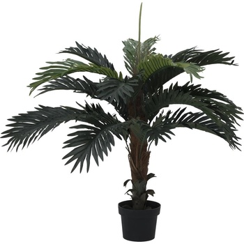 Kokosová palma, 90cm