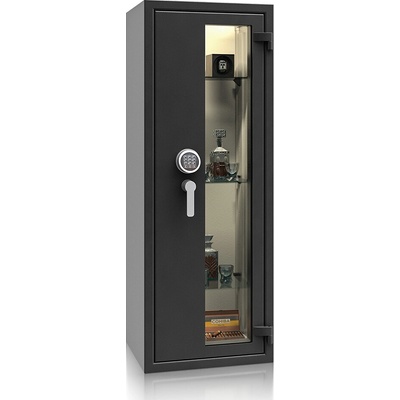 ISS St. Gallen WF VITRINA 56412.02 EL