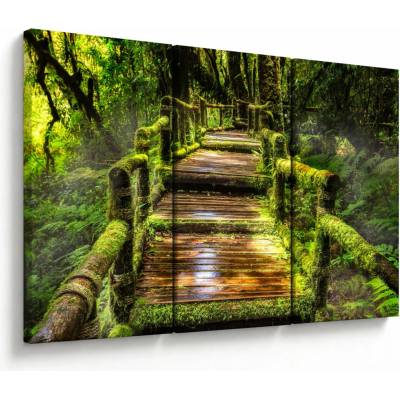 Obraz schodů v deštném pralese, třídílný 120x80 cm