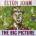 Elton John - The Big Picture (2 LP) (0602557383201)