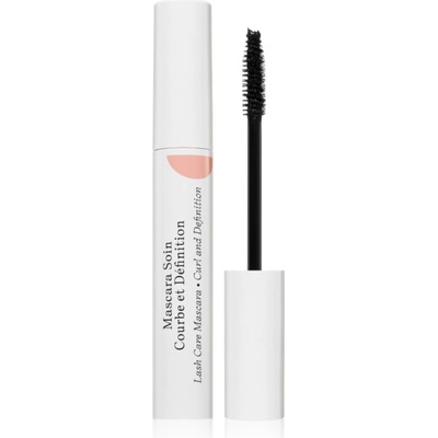 Embryolisse MASCARA SOIN COURBE ET DEFINITION оформяща спирала цвят Black 8ml