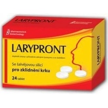 Pharmaceutical Biotechnology Larypront 24 tabliet