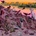 This Place You Know - One Step Closer CD