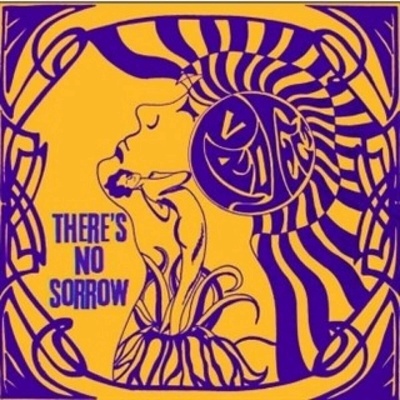 Project V - There's No Sorrow LP