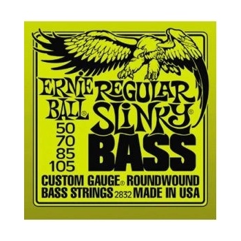 Ernie Ball P02832