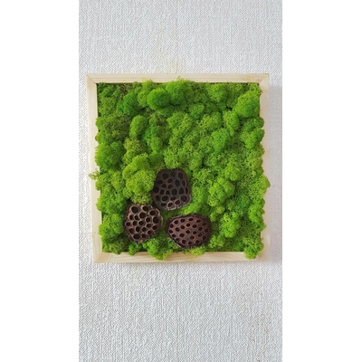 Mechový obraz '' vosí hnízdo '' 33cm x 33cm