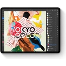 Apple iPad 10.2 (2021) 256GB Wi-Fi Silver MK2P3FD/A