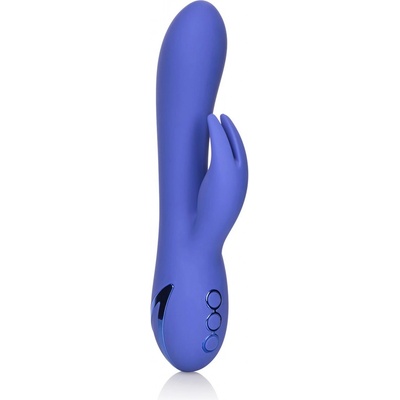 CalExotics California Dreaming Beverly Hills Bunny Purple