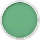 Panpastel 9 ml 640.5 permanent green