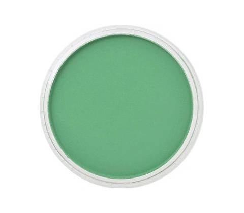 Panpastel 9 ml 640.5 permanent green