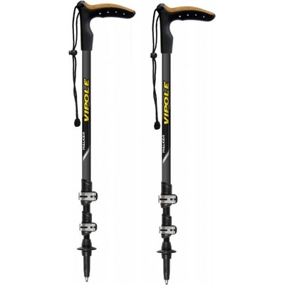 Vipole Walker Ql 100