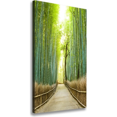 Vertikálny foto obraz na plátne Bambusový les 50x100 cm