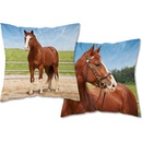 Detexpol Kôň v ohrade 40 x 40 cm