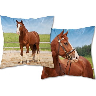 Detexpol Kôň v ohrade 40 x 40 cm