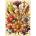Interdruk - Puzzle Fairytale bouquet - 1 000 piese