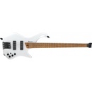 Ibanez EHB1000