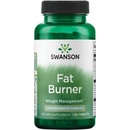 Swanson Fat burner 60 tabliet