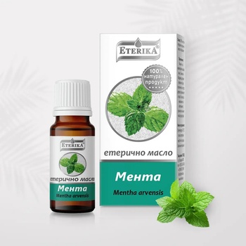 Етерично масло от Мента 10 мл (Mentha Arvensis) - Етерика (Мента)