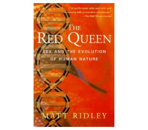 The Red Queen