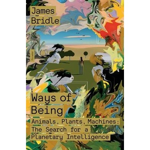 Ways of Being: Animals, Plants, Machines: The Search for a Planetary Intelligence | BRIDLE JAMES (ISBN: 9781250872968)